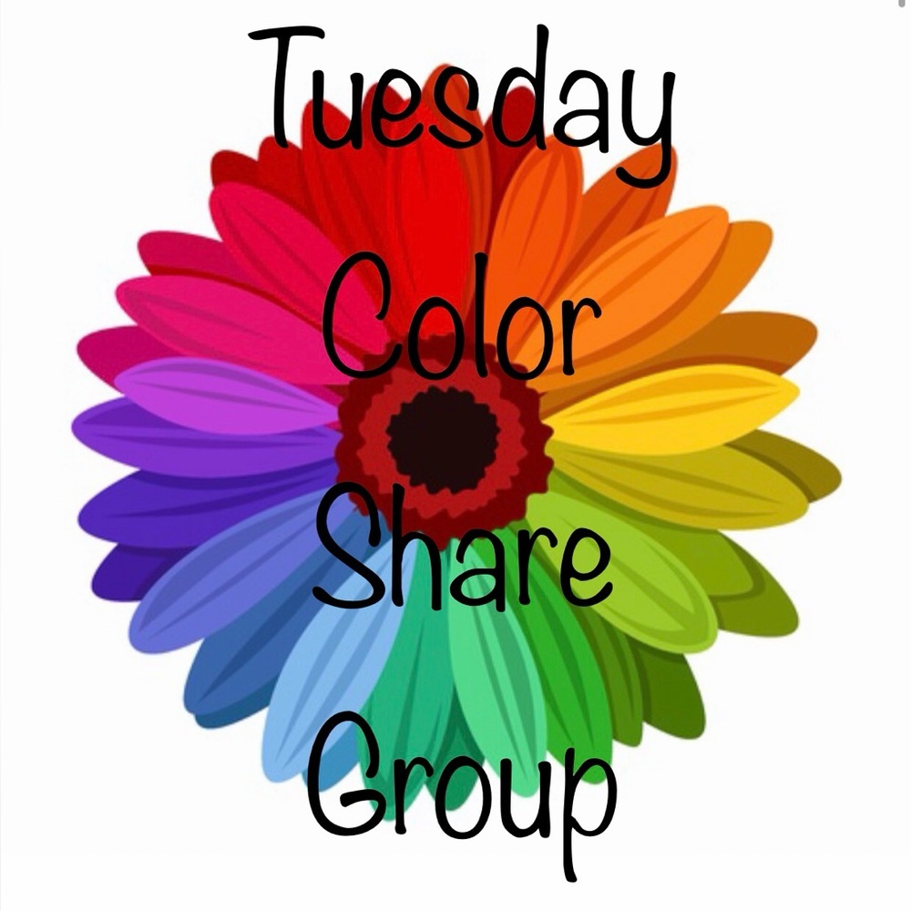 OPEN! Please READ SLIDES 🌈 TUESDAY Color Share Group 🌈